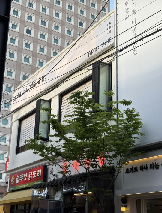 고하순 representative image